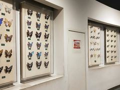 -陕西自然博物馆