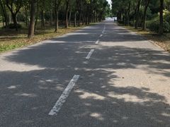 -贡湖湾湿地公园