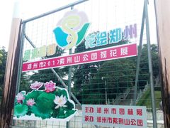 景点-紫荆山公园