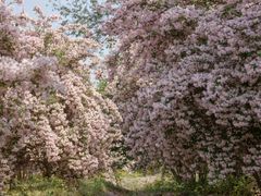 -永定河休闲森林公园