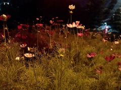 -重庆大队长火锅(凤城八路店)