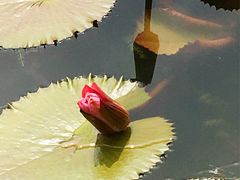 -国家植物园南园