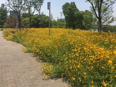 -映月湖中央公园