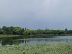 -北坞公园