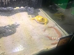 -石家庄海洋公园