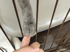 -iF摄影•全家福•证件照•形象照(南山店)