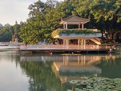 -荔枝公园(福田区)