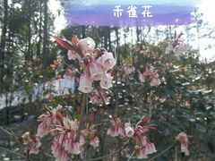 -四会奇石河风景区