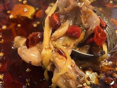 -味之绝热血美蛙鱼火锅(中坝店)