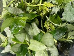 -黔府豆米火锅野菜馆(南马店)