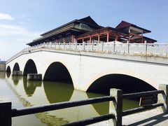 -大湾区中央湿地公园