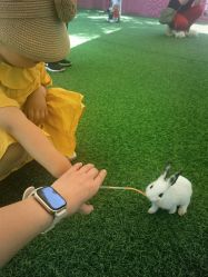 -萌宠亲子动物乐园(槐房万达店)