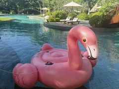 -海南清水湾莱佛士酒店