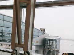 -广州白云国际机场-T2航站楼