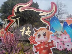 -无锡梅园公园