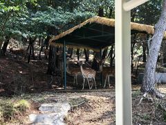 -刘公岛景区