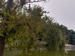 -人民公园(罗湖区)