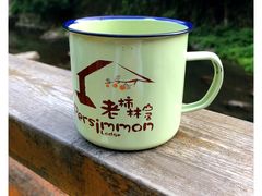 -宁波余姚老柿林山居度假村