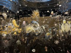 -扎耶德国家博物馆