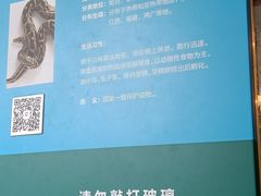 -上方山森林动物世界
