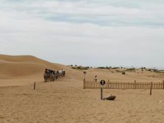 -银肯塔拉沙漠生态旅游景区