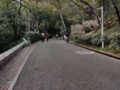-北极阁公园
