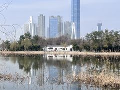 -月湖风景区