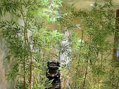 -西郊竹园甲鱼面(老一中店)