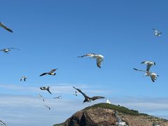 -海驴岛(荣成市)