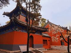 -洛阳白马寺