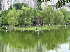 -沐仙湖湿地公园