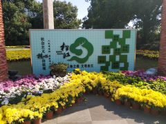 -上海月湖雕塑公园