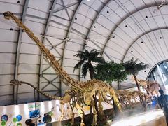-辽宁古生物博物馆