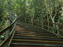-野象谷景区
