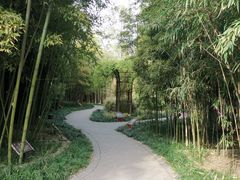 -望江楼公园