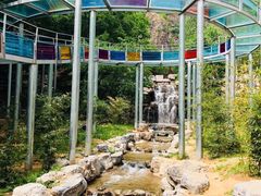 -十渡东湖港风景区