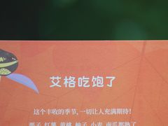 艾格吃饱了秋日果子礼盒-盒马鲜生(龙德广场店)