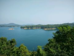 -河源万绿湖美思威尔顿酒店