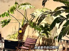 -J Create城市露营咖啡·简餐·宠物(上海动物园店)