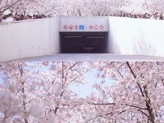 -龙美术馆(西岸馆)