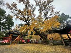 -无锡惠山寺