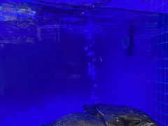 -王捌小院(红花坡店)