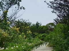 -上海杨姆庄园