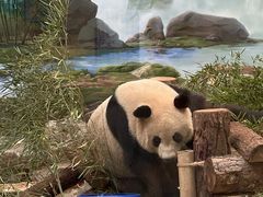 -杭州动物园