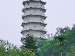 -深圳国际园林花卉博览园