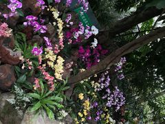 -南山植物园