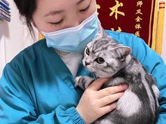 -守诺宠物医院·眼科· 特色牙科·异宠专科(虹口店)