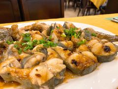 黄豆酱蒸西江魽鱼-粤·向群饭店(泮塘路店)