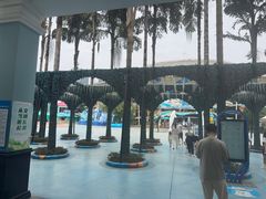 -海合安成都极地海洋公园