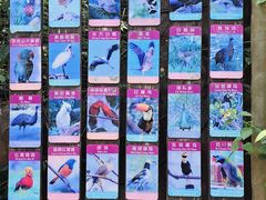-长鹿旅游休博园